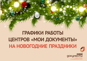 Графики работы центров «Мои Документы» Воро-нежской области на новогодние праздники.